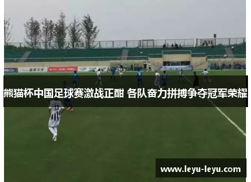 熊猫杯中国足球赛激战正酣 各队奋力拼搏争夺冠军荣耀
