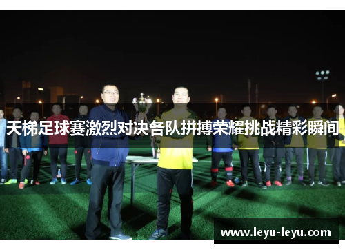 天梯足球赛激烈对决各队拼搏荣耀挑战精彩瞬间